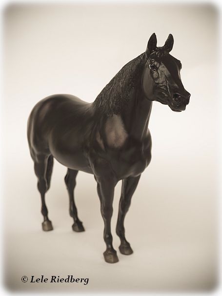 Cherry Creek Fonzie Merit | BreyerHorseRef